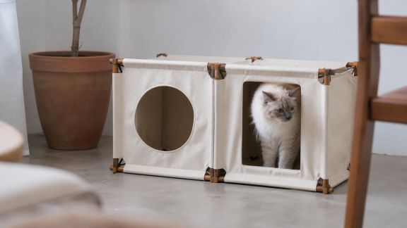 Test d’une cabane pliable pour chats d’intérieur : confort et praticité au quotidien
