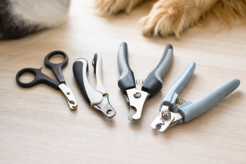 Comparatif des coupe-griffes pour chats et chiens : sécurité, ergonomie et budget