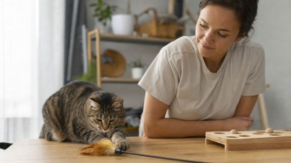 Discussion avec un éducateur spécialisé dans les chats d’intérieur : prévenir l’ennui et les comportements indésirables