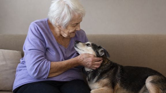 Animaux et personnes isolées : des programmes innovants pour lutter contre la solitude