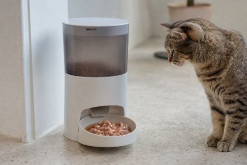 Test d’un distributeur de pâtée programmable pour chats : atout fraîcheur ou gadget ?