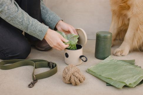 Initiatives écoresponsables : ateliers pour limiter les déchets des animaux de compagnie