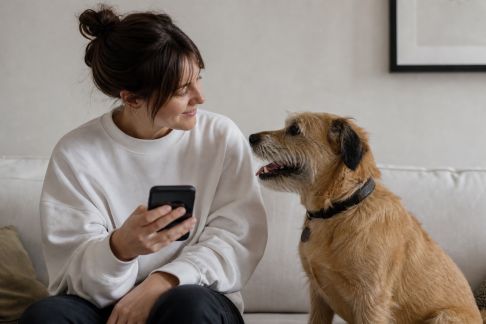 L’émergence des applis de rencontre pour animaux et propriétaires : gadget ou réel besoin ?