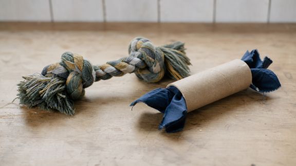 Utilisation des objets recyclés dans les jouets pour animaux : tendance durable ou marketing ?
