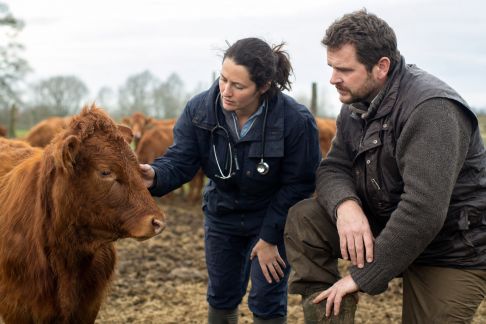 Regards croisés : vétérinaires et éleveurs face aux nouveaux défis sanitaires