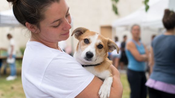 Événements animaliers en France : tour d’horizon des prochaines manifestations solidaires