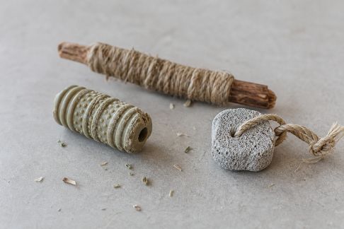 Comparatif de jouets à mastiquer pour NAC : durabilité et intérêt des petits animaux