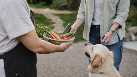 Partager ses récoltes du potager avec les propriétaires d’animaux : une tendance solidaire