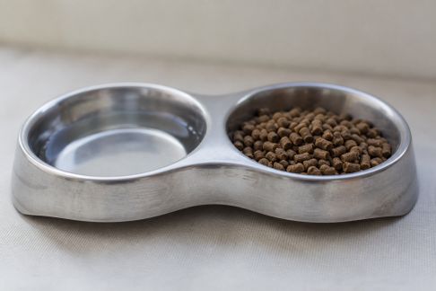 Analyse d’une gamelle en inox double compartiment pour NAC : hygiène et facilité d’utilisation