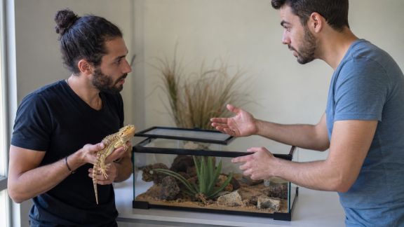 Les échanges de conseils entre passionnés de reptiles et NAC