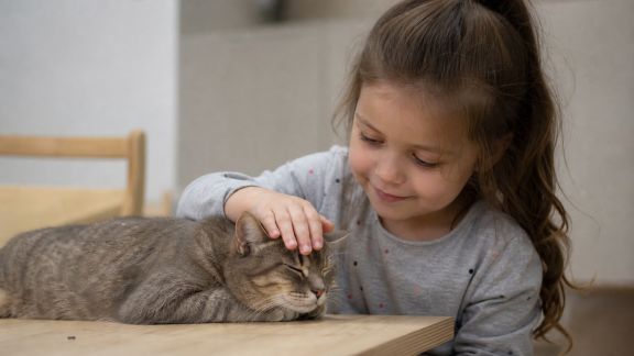 Éducation des jeunes enfants à la relation avec les animaux : outils pédagogiques et conseils pratiques