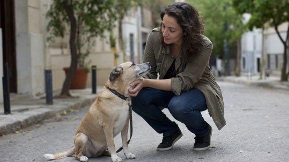 Portrait d’un comportementaliste canin intervenant en milieu urbain : adapter l’éducation à la ville