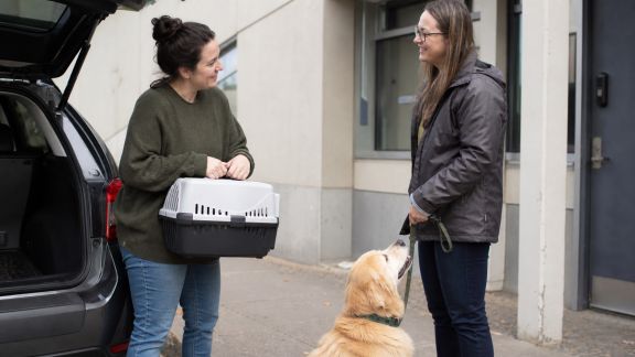 Mettre en place un réseau de covoiturage pour les rendez-vous vétérinaires