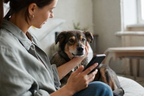 Les applications de suivi santé : de nouvelles habitudes pour surveiller son animal